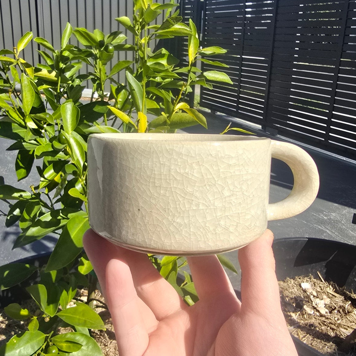 mug